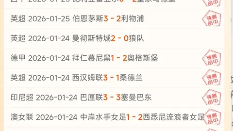 国米队内关注名单：伊泽斯之外，卢库米、比克马和索莱亦在视线之中。